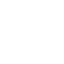 Custom Field